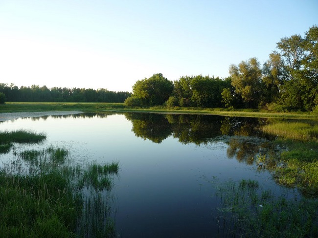 Historisch gebied Machaon Valley door LEVS architecten