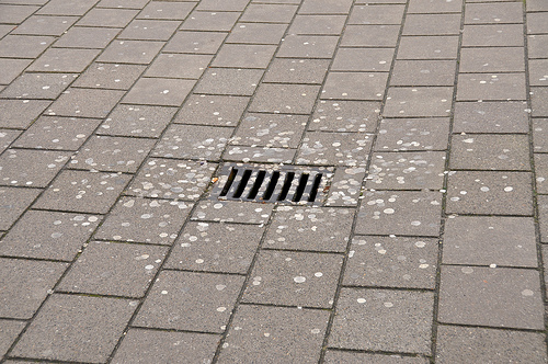 Onderzoek afbreekbaarheid kauwgom