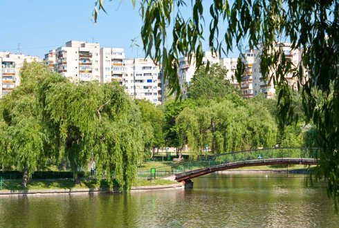 ‘Openbaar groen ook rekenen tot economisch kapitaal'