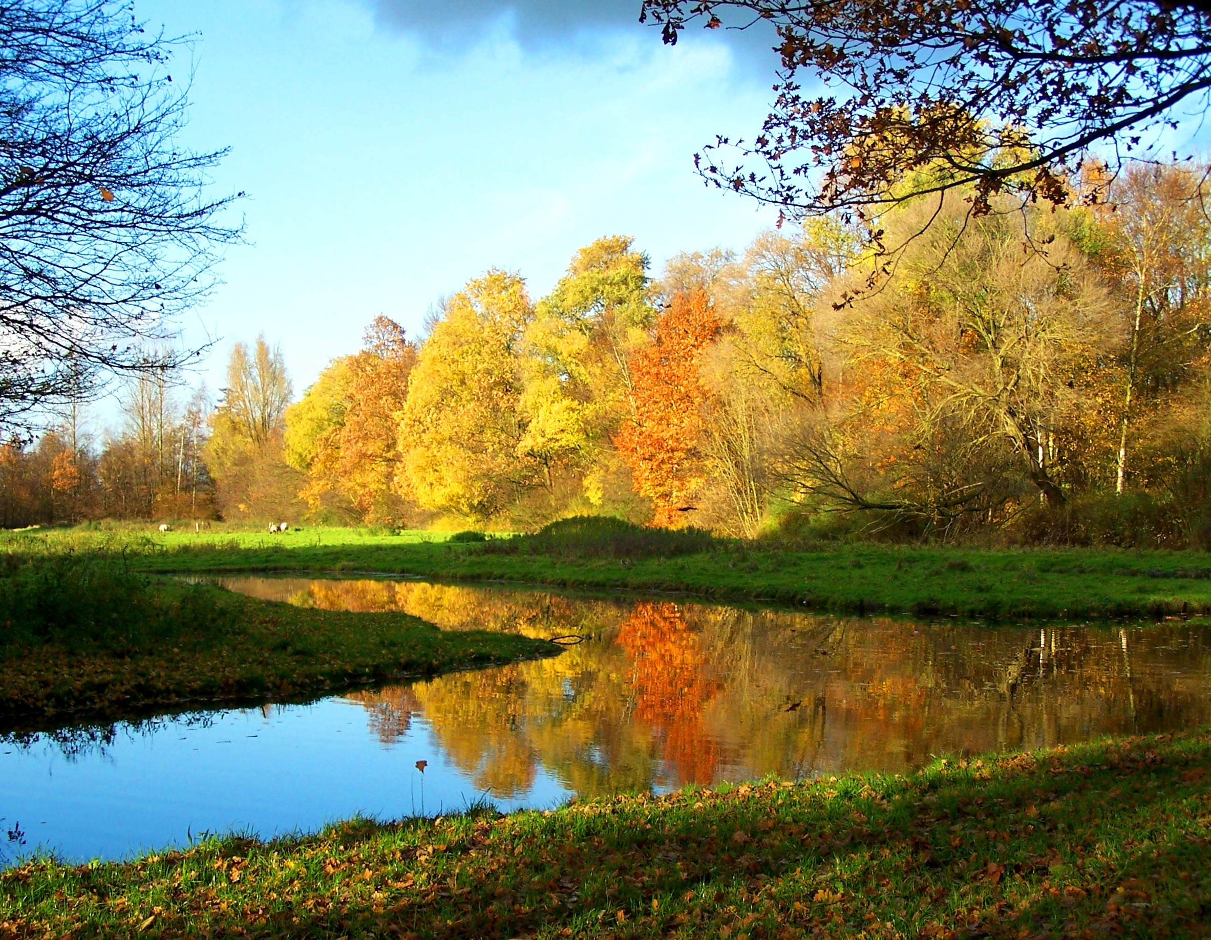 Herstel stiltegebied Brediuspark Woerden