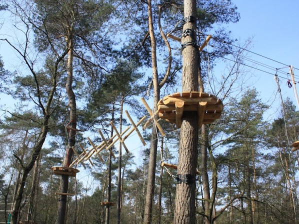 Boomvriendelijk klimbos Simia op de Veluwe
