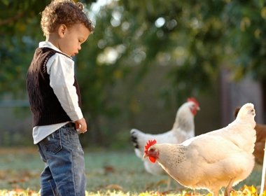 Risico’s agrarische kinderopvang