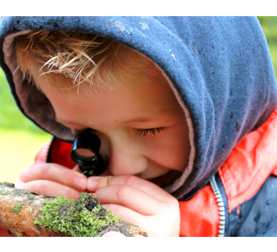 Bijeenkomst Kamer over groenere speelomgeving 