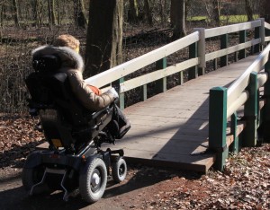 Hulst toegankelijk voor iedereen 